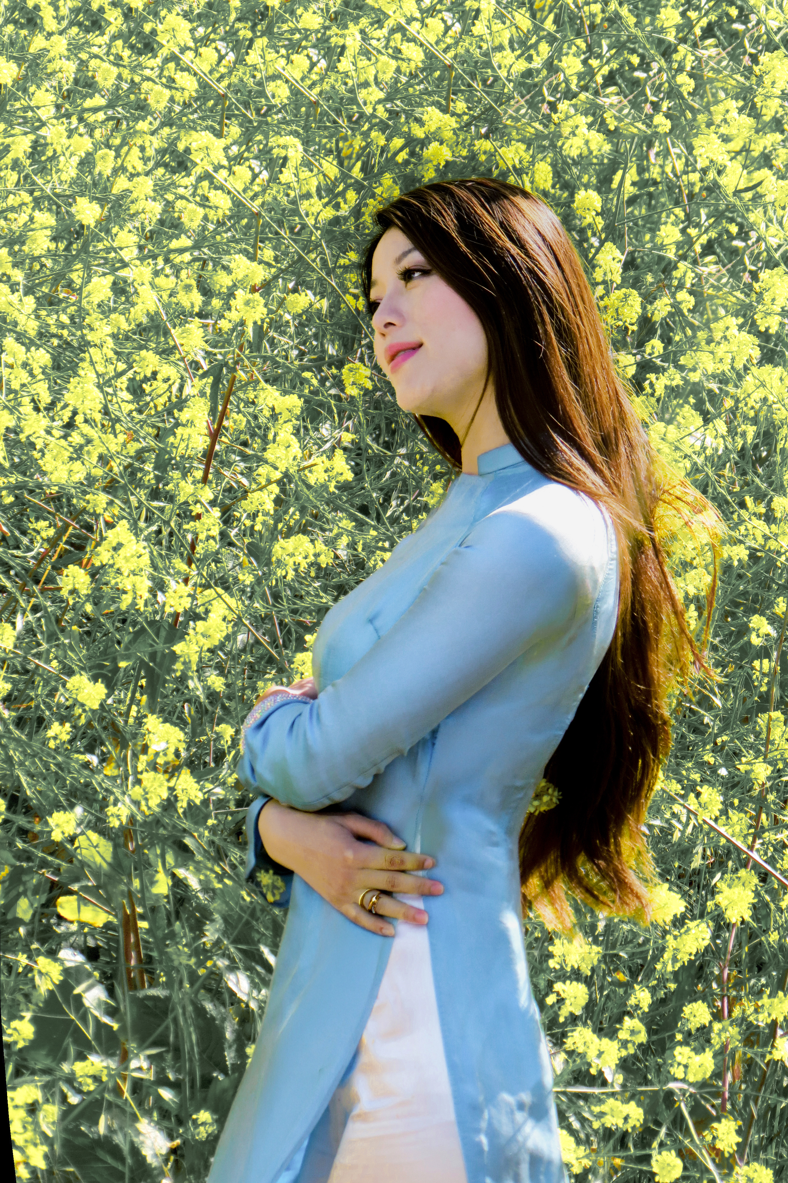 Hoa Vàng-SJ- (4)